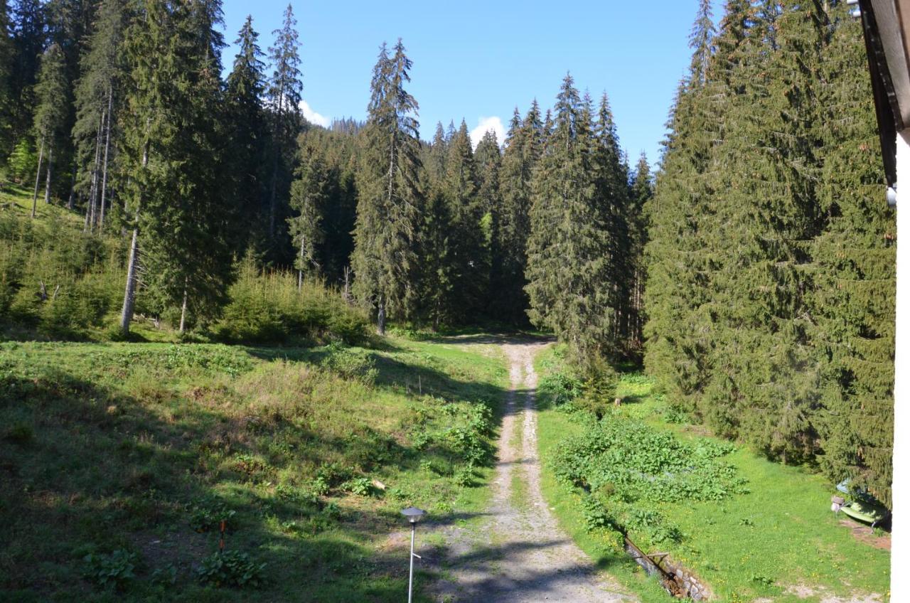 Jasna 96 III Apartman Deménvölgy Kültér fotó